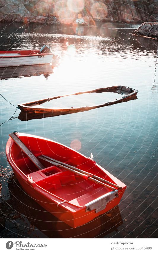 Nicht schwimmtauglich Schweden Wahrzeichen Küste Schönes Wetter Sommer Sehenswürdigkeit Fischerdorf Insel Ostsee Fjord Bucht Tatkraft Mut Lebensfreude Freude