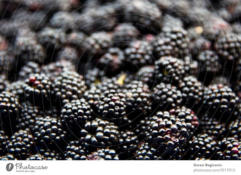 Reife saftige Waldfrüchte rohe Brombeeren auf dem Tisch liegend Beeren Frucht reif Hintergrund Lebensmittel schwarz Gesundheit Makro Nahaufnahme frisch