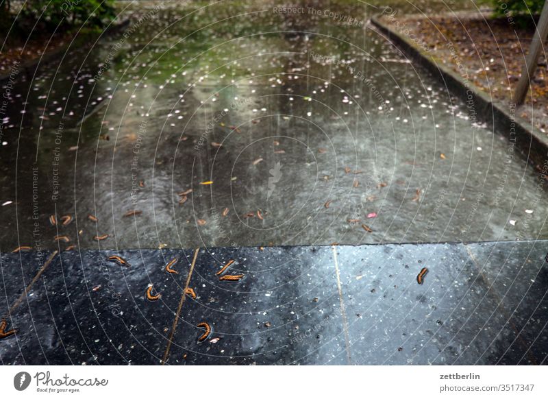 Regenschauer regen pfütze regenwasser bürgersteig menschenleer nass niederschlag nässe regentropfen sommerregen textfreiraum wolkenbruch regenschauer platzregen