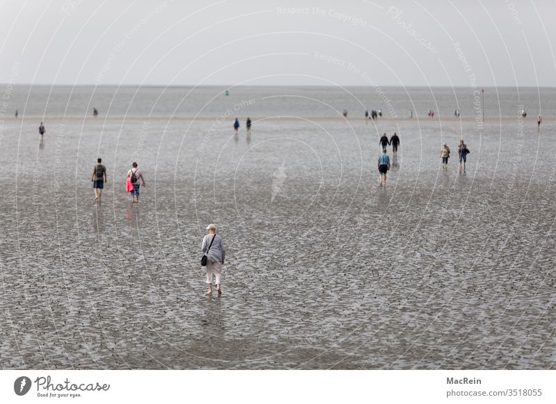 Wattläufer nordsee büsum watt wattenmeer menschen menschengruppe menschenmenge barfuß barfußstrand urlauber touristen feriengäste entspannen relaxen