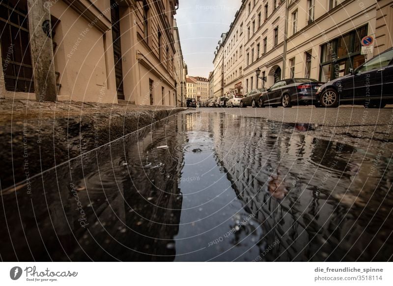 Spandauer Vorstadt Berlin Altstadt Wasser Pfütze Spiegelung Straße Autos Gehweg Bürgersteig Reflexion & Spiegelung Regen Außenaufnahme Menschenleer Tag Stadt