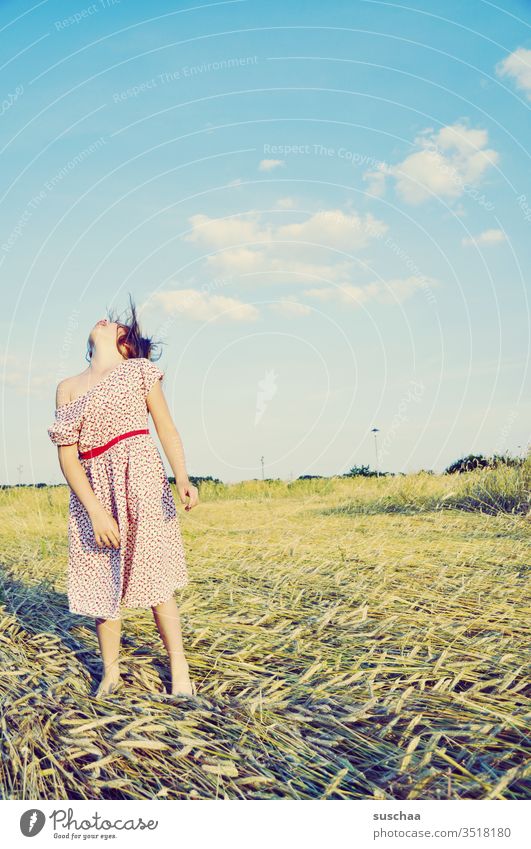 mädchen steht auf einem kornfeld im sommer und wirft den kopf übermütig nach hinten .. Kind Mädchen Sommer Strohfeld Getreidefeld Sommerkleid frei Freude