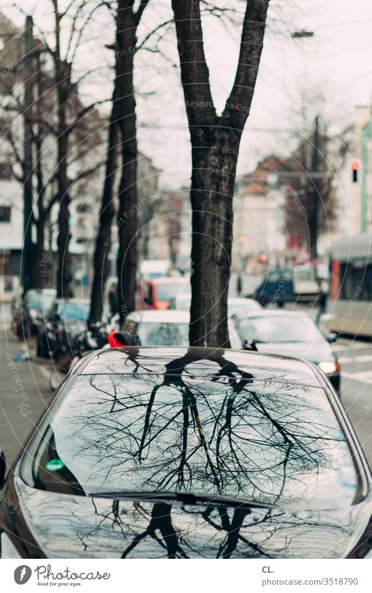 auto und baum Auto Baum Reflexion & Spiegelung Scheibe Fensterscheibe Glas Farbfoto Glasscheibe Verkehrswege Verkehrsmittel parken Parkplatz Stadt Wege & Pfade