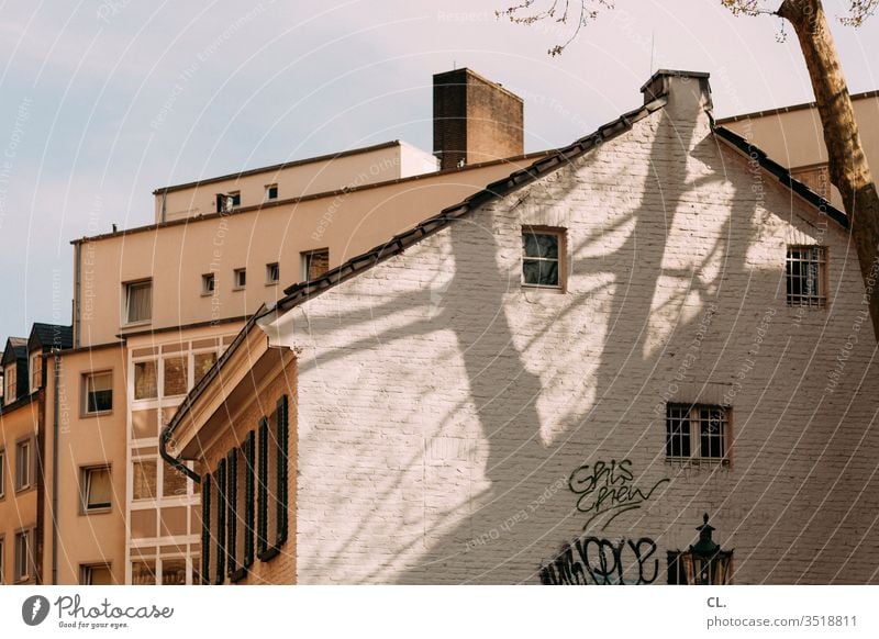 häuser Haus Himmel Baum Schatten Architektur Fassade Wand Fenster Graffiti Stadt Menschenleer Tag Außenaufnahme Schönes Wetter Farbfoto