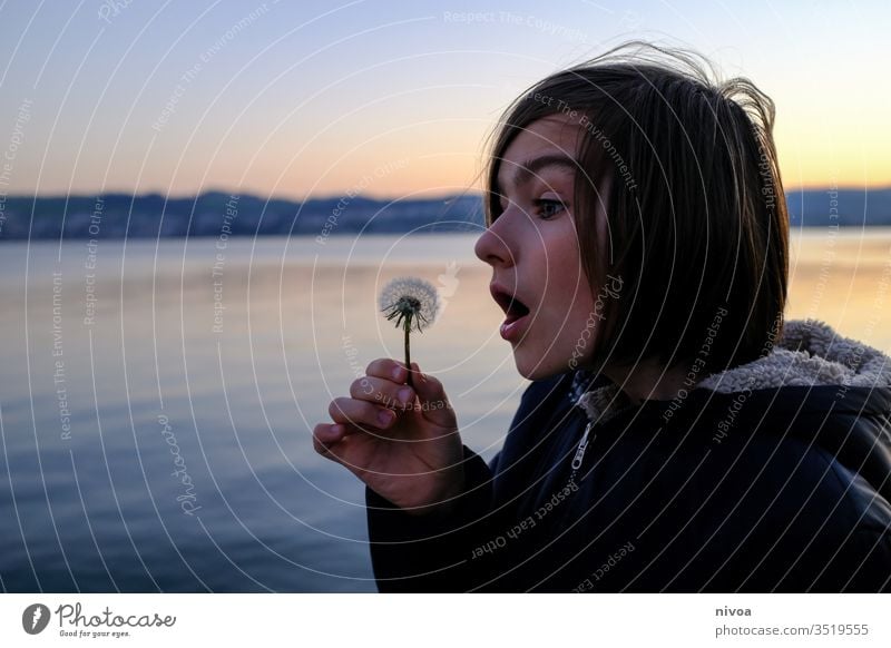 Junge und Pusteblume Nahaufnahme Blume Pflanze Natur Löwenzahn Makroaufnahme Samen Außenaufnahme Detailaufnahme Frühling Farbfoto Menschenleer zürichsee