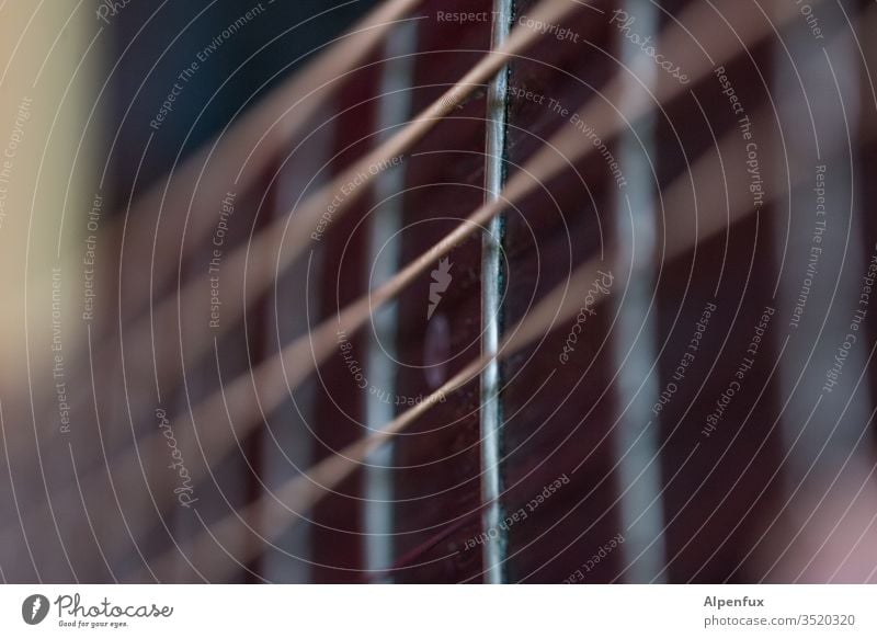 Dreiklang | verzerrt Gitarrensaite Musik Musikinstrument Detailaufnahme Nahaufnahme Saite Klang akustisch musizieren Holz Gitarrenhals Saiteninstrumente