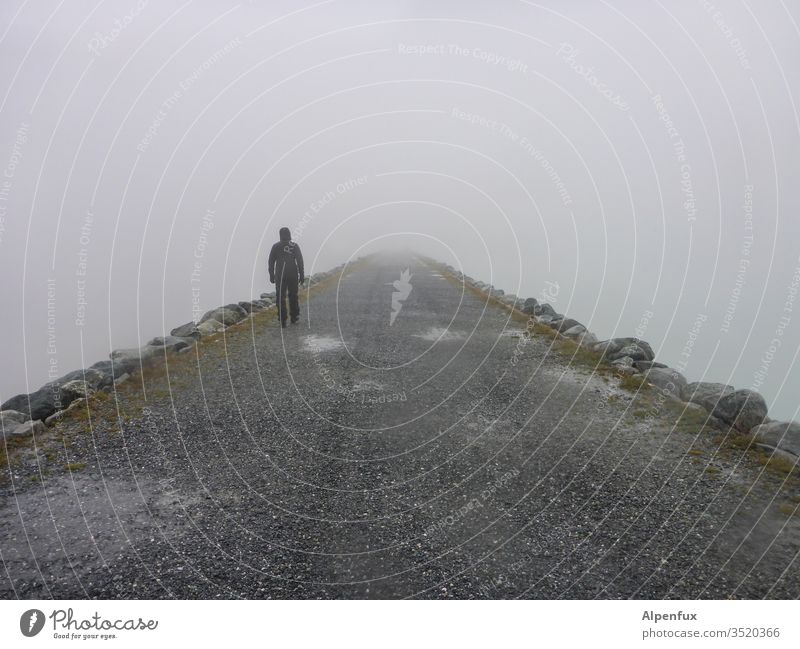 Next Level Nebel Damm geheimnisvoll Außenaufnahme Natur Tod Übergang jenseits Himmel (Jenseits) Religion & Glaube Wolken Hoffnung Farbfoto Wege & Pfade Ziel