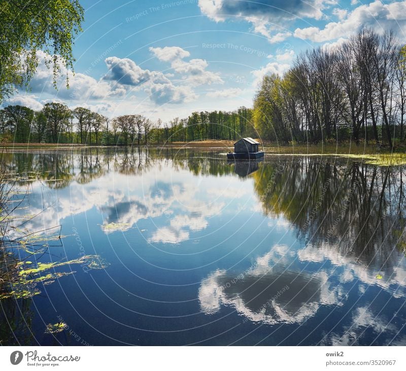 Freigeschwommen See Seeufer Himmel Wolken Horizont Hausboot Wasser Wasseroberfläche Spiegelbild Reflexion & Spiegelung Bäume Natur Landschaft Menschenleer