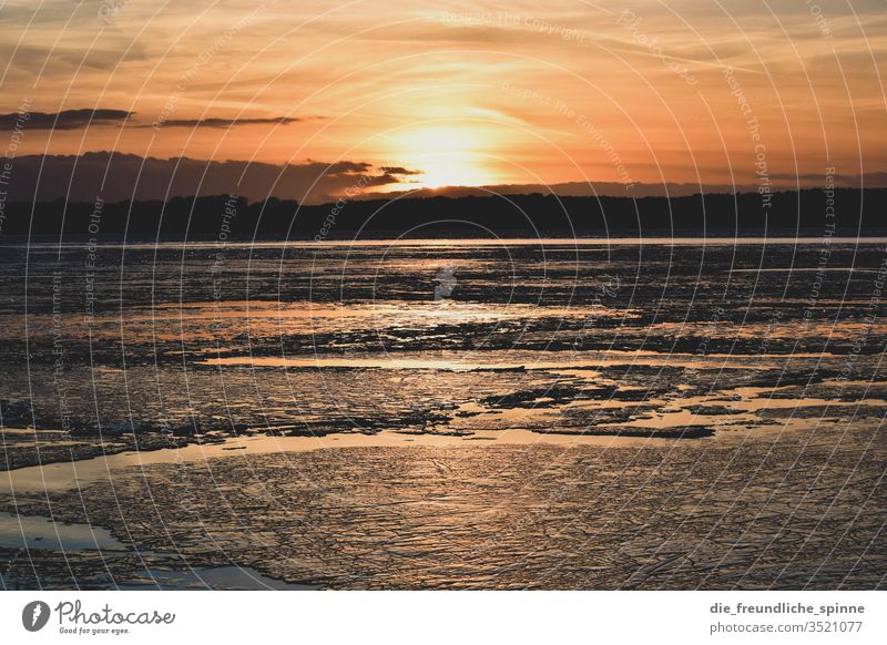 Eisiger Sonnenuntergang Wolken Dämmerung See Meer Fluss Havel Wasser Himmel Abend Außenaufnahme Natur Sonnenaufgang Landschaft Winter Schollen Eisscholle Umwelt