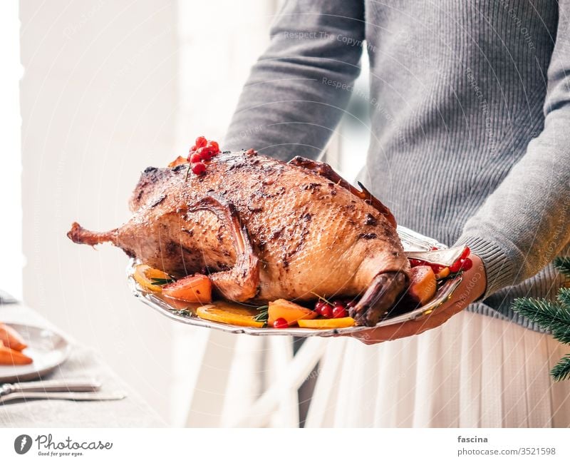 gebratene Ente in weiblichen Händen gebacken Braten in Händen Frau Halt Weihnachten Hausgans ganz Lebensmittel Speise Abendessen gekocht Fleisch Apfel Mahlzeit