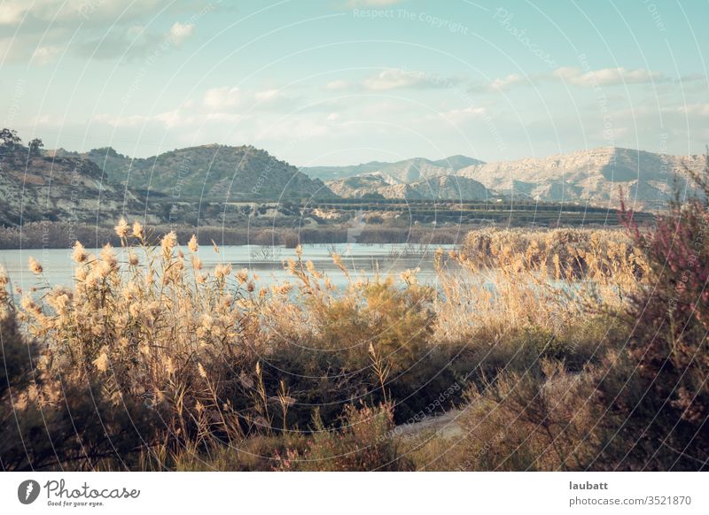 Herbstliche Landschaft mit Grün an einem See - Hügel am Sumpf - Elche, Alicante, Spanien - Sommerlandschaften der Mittelmeerregion - Landschaft der Region Valencia