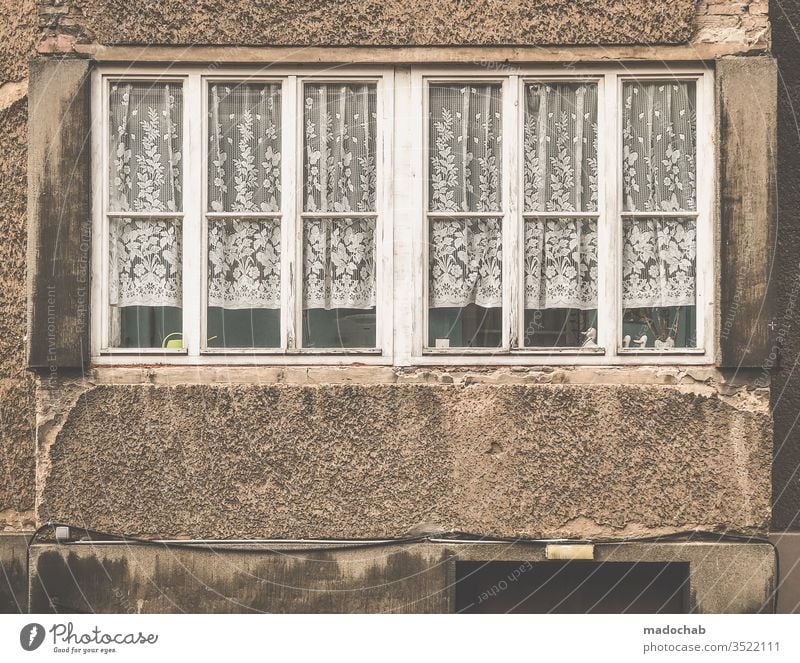 Trautes Heim mit Gardinen Fenster Spießer spießig Leben Wohnen Zuhause kaputt dreckig Verfall urban trashig Menschenleer alt Farbfoto Vergänglichkeit Ruine