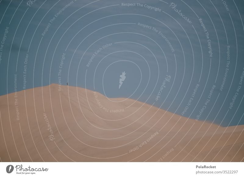 #As# Rudel Sand Sandkorn Sandstrand Sandbank Wüste wüstenlandschaft wüstensand Wüstenpiste Außenaufnahme Farbfoto Natur Strand Landschaft Menschenleer