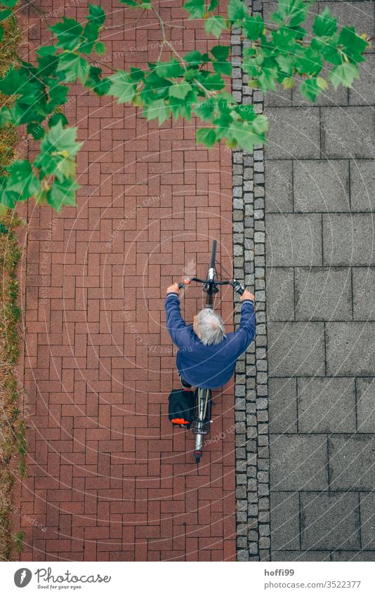 Fahrradfahrer von oben mit frischem frühlingshaftem Grün Fahrradfahren Vogelperspektive Radweg Mann Straße Aktion Erwachsene Wege & Pfade Gesundheit