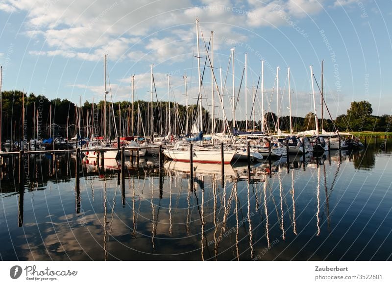 Segelboote in einem kleinen Hafen im Abendlicht Sportboot Segeln Wasser Himmel Wolken Mast Spiegelung Ostsee Jacht Jachthafen Bootsfahrt Küste Meer