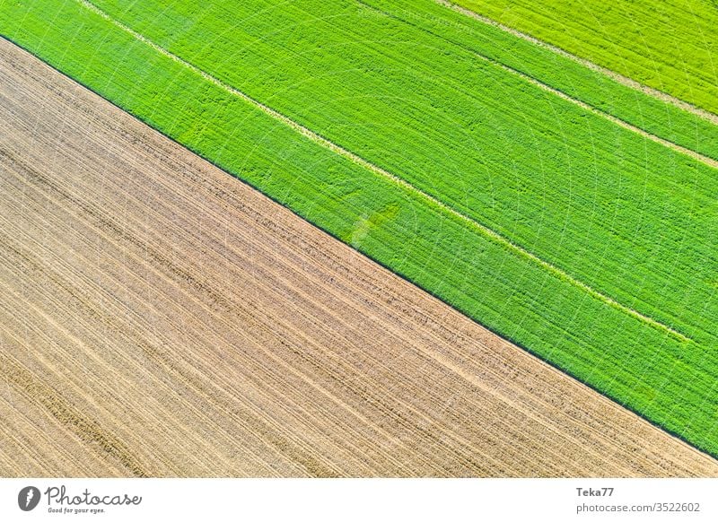 eine Agrarlandschaftstextur von oben landwirtschaftlich Landwirtschaftlicher Weg Traktor Traktorpfad Feldhintergrund Wiesen-Hintergrund Air Luftaufnahme Textur