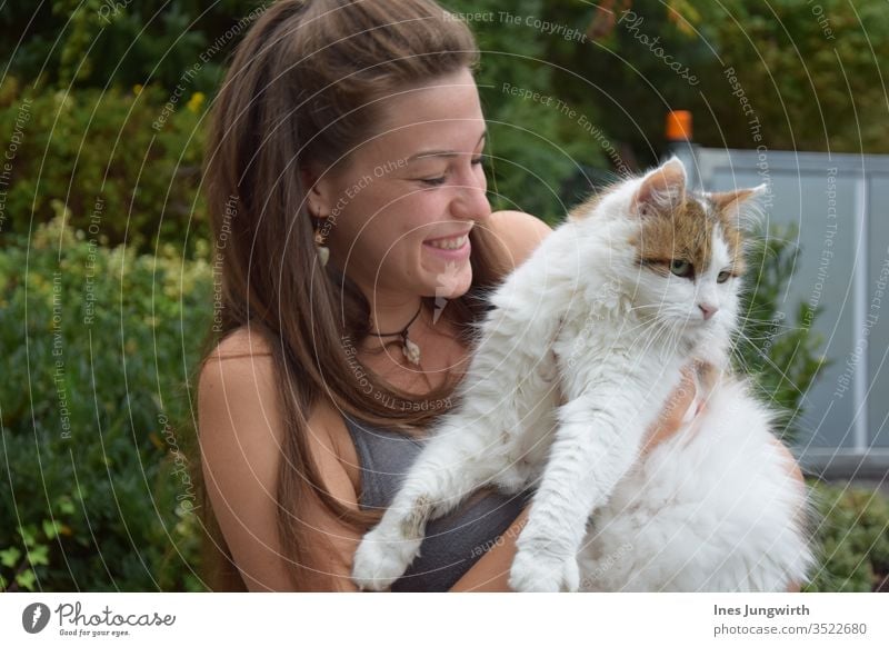 Katzenliebe Kater Natur Tier Haustier Farbfoto Außenaufnahme Hauskatze Tag niedlich Säugetier Tierporträt Tiergesicht Katzenauge Schnauze Fell Katzenkopf schön