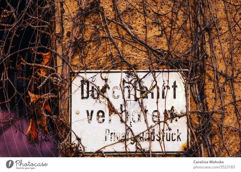 Schild Durchfahrt verboten Privatgrundstück Schilder & Markierungen Hinweisschild Außenaufnahme Farbfoto Menschenleer Schriftzeichen Warnschild Zeichen Tag