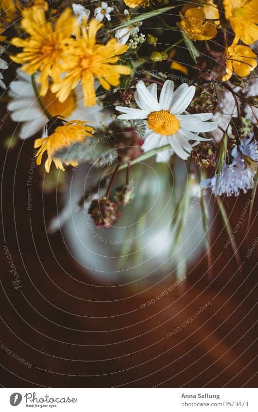 Frühlingsblumen in einer Vase Frühlingsgefühle Frühlingstag Frühlingsfarbe Farbfoto Blume Blüte Natur Pflanze Menschenleer grün Wiesenblume Nahaufnahme