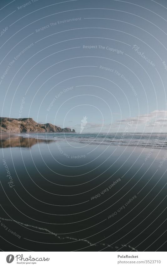 #As# Bethells Beach Neuseeland Neuseeland Landschaft Küste Strand Strandspaziergang Strandleben wasserreflexionen Reflexion & Spiegelung Meer Natur Farbfoto