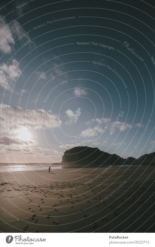 #As# Lauf! Neuseeland Neuseeland Landschaft Küste Strand Strandspaziergang Strandleben Strandgut Berge u. Gebirge Küstenstreifen Küstenwanderung Natur