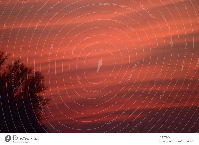 Sonnenuntergang so tiefrot sind die Wolken nur im Winter Sonnenuntergangsstrand Sonnenuntergangsstimmung Sonnenuntergangslicht Sonnenuntergangssee