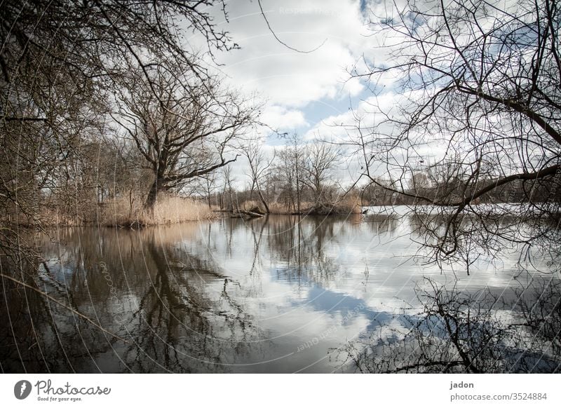 still ruht der see. See Wasser ruhig Reflexion & Spiegelung Himmel Natur Außenaufnahme Menschenleer Farbfoto Seeufer Landschaft Idylle Umwelt Baum Teich