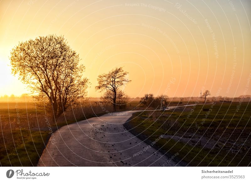 Landweg bei Sonnenuntergang Landschaft Sonnenlicht Warmes Licht Außenaufnahme Menschenleer Abend Gegenlicht Natur Sonnenstrahlen Schönes Wetter Farbfoto ruhig