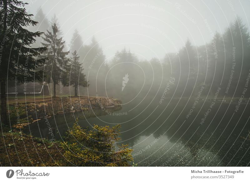 Nebel über dem Bergsee Bergsee an der Ebertswiese Thüringen Thüringer Wald See Wasser Ufer Hütte Nebelschwaden Dunst diesig trüb Bäume Natur Landschaft mystisch