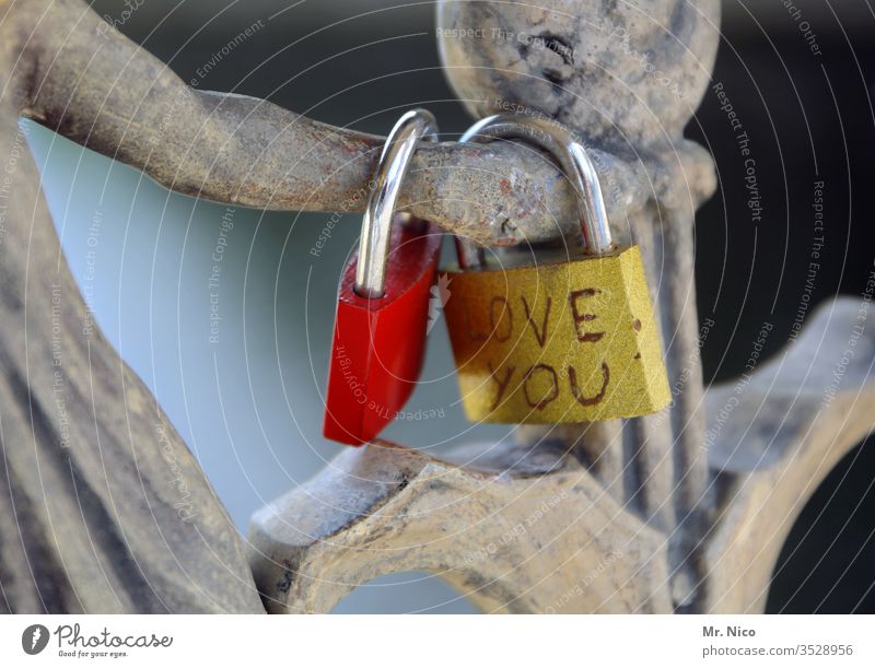 Love you Liebe Herz Gefühle rot Romantik Verliebtheit Sympathie Zusammensein Liebesschloss Treue Freundschaft Partnerschaft Lebensfreude Glück Tag Brücke