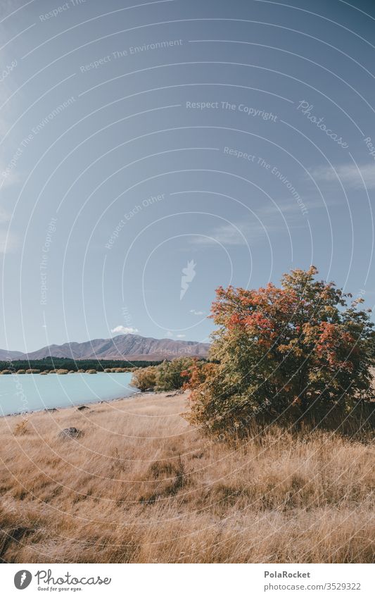 #As# Herbst am Lake Tekapo Neuseeland Neuseeland Landschaft See Seeufer