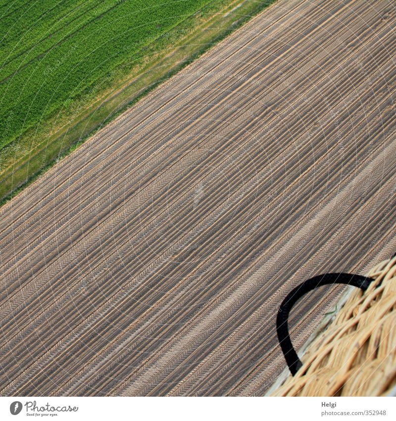 Richtung passt... Freizeit & Hobby Abenteuer Umwelt Landschaft Erde Frühling Schönes Wetter Pflanze Gras Grünpflanze Wiese Feld Fluggerät Ballone fahren