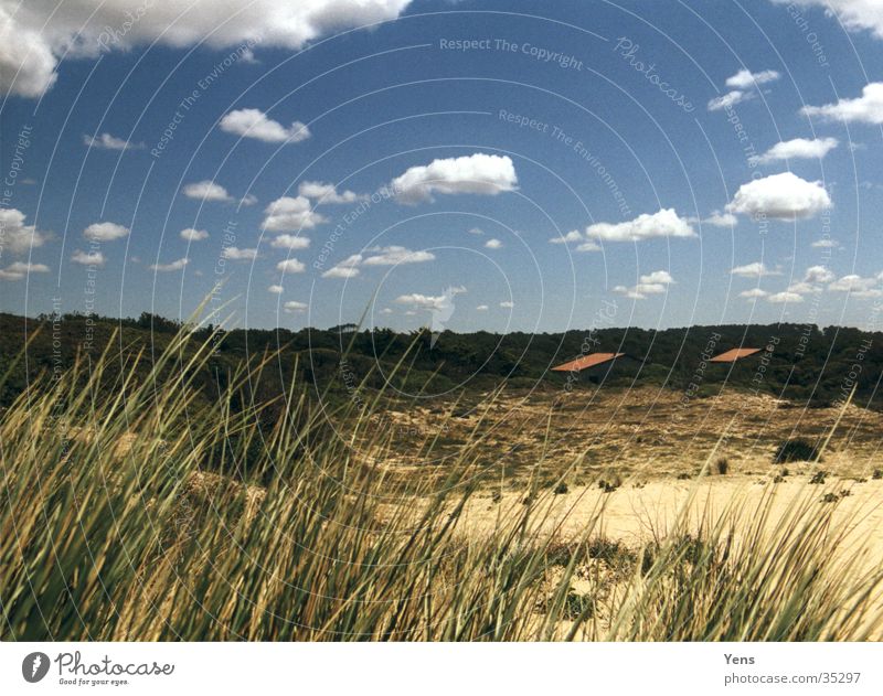 Blick von der Düne Wolken Gras Haus Wald Stranddüne Himmel Sand