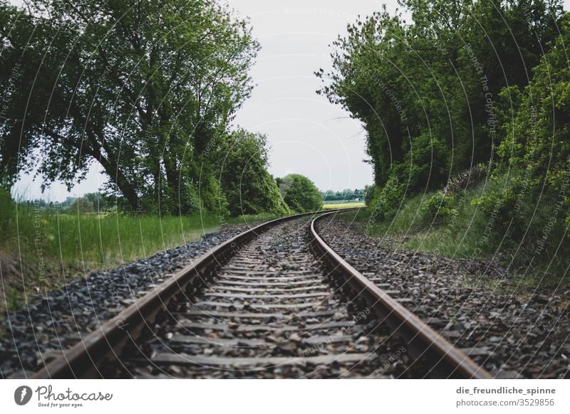 Bahnschienen Schienen Weg Strecke Eisenbahn Verkehr reisen Ausflug Station Linie Transport Reise Bäume Zug Bewegung Landschaft Stahl Ferne Ausflugsziel