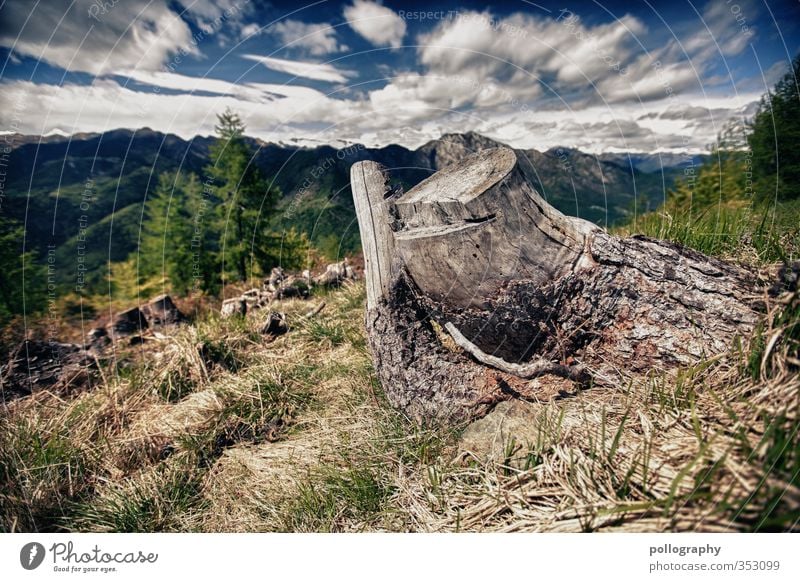 diverse nature 7 Natur Landschaft Pflanze Erde Himmel Wolken Sonne Sommer Schönes Wetter Baum Wiese Wald Hügel Felsen Alpen Berge u. Gebirge Gipfel Schlucht