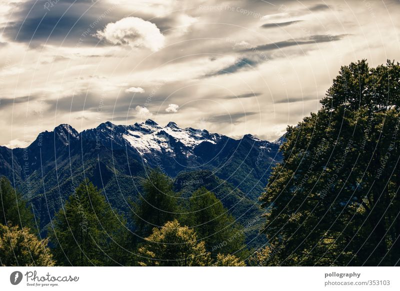 diverse nature 8 Umwelt Natur Landschaft Pflanze Himmel Wolken Sommer schlechtes Wetter Baum Wald Hügel Felsen Alpen Berge u. Gebirge Gipfel