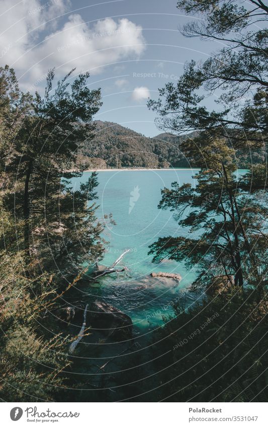 #AS# Küstenwanderung Neuseeland Neuseeland Landschaft Abel Tasman National Park Abel Tasman Park abel tasman Südinsel Strand Küstenstreifen küstenschutz