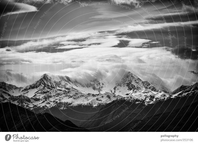 wellenbrecher Umwelt Natur Landschaft Pflanze Luft Himmel Wolken Horizont Sommer Klima Klimawandel Wetter Schönes Wetter Unwetter Wind Nebel Schnee Baum Wald