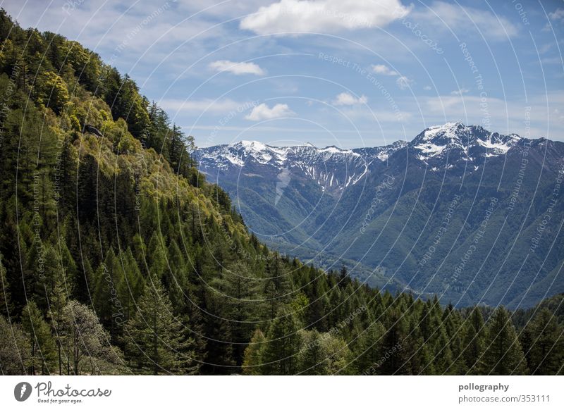 mother nature 3 Umwelt Natur Landschaft Pflanze Himmel Wolken Sommer Schönes Wetter Baum Baumkrone Wald Hügel Felsen Alpen Berge u. Gebirge Gipfel