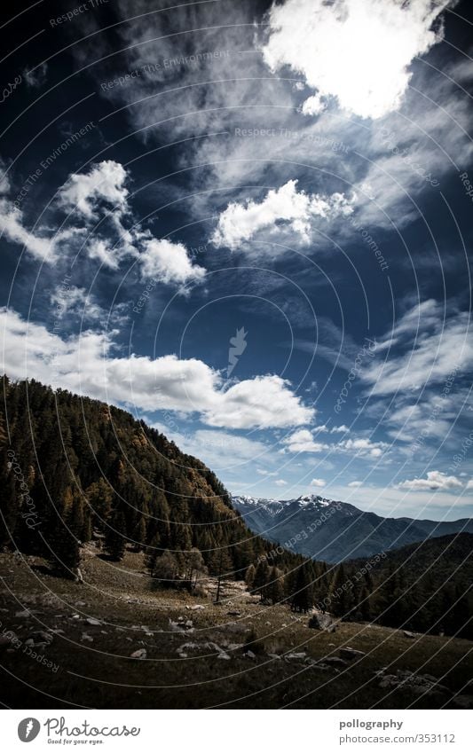 mother nature 2 Umwelt Natur Landschaft Pflanze Himmel Wolken Sonne Sonnenlicht Sommer Klima Schönes Wetter Baum Gras Sträucher Wiese Wald Hügel Felsen Alpen