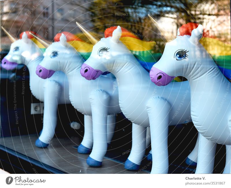 Einhörner | Aufblasbare Einhörner mit Regenbogenmähne, aufgereiht in einem Schaufenster. Spiegelungen. Einhorn aufblasbar regenbogenfarben Goldenes Horn