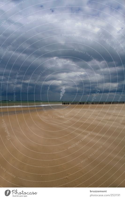 Vlissingen Natur Sand Gewitterwolken Wetter schlechtes Wetter Wind Sturm Wellen Küste Strand Meer Kraft Abenteuer Sandsturm dramatisch Buhne Nordsee Niederlande