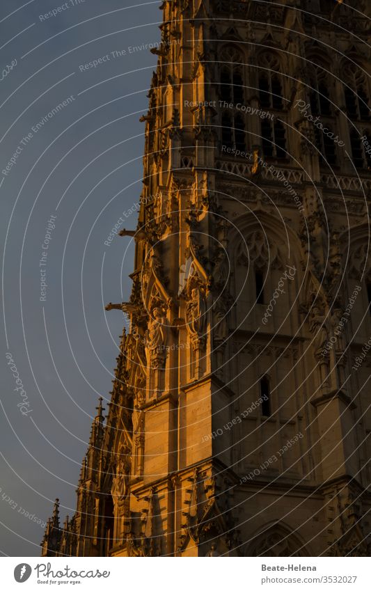 Fassade der Kathedrale von Rouen in der Abendsonne Abendlicht Stein Verzierung Normandie Gotik Skulpturen Buntglasfenster Kirchenfenster Meisterwerk Beleuchtung