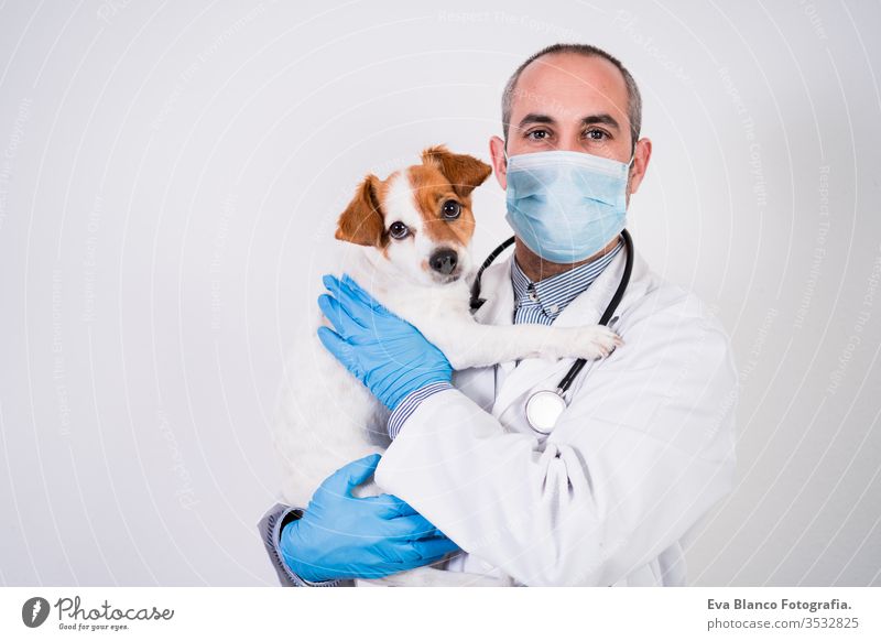 veterinärmediziner, der in der Klinik mit dem süßen kleinen Jack-Russell-Hund arbeitet. Trägt Schutzhandschuhe und Maske während der Quarantäne. Verwendung des stethoscope.pets healthcare