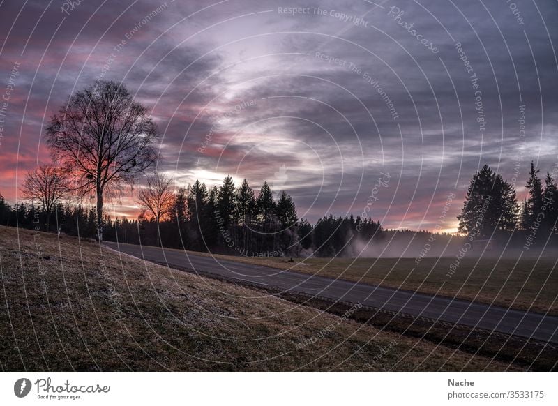 Sonnenuntergang in kalter Nebellandschaft mit Straße bei Triberg im Schwarzwald Januar Landschaft Winter Frost Mystisch Baum Wald Schnee Menschenleer Eis Natur