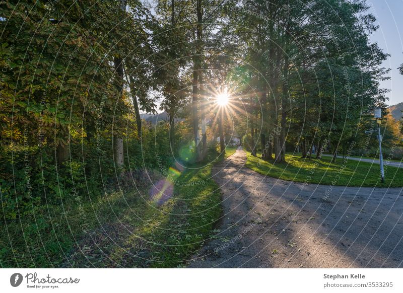 Sonnenstrahlen kommen durch einen herbstlich gefärbten Baum. Sonnenschein Sonnenstern Linsenflar Herbst fallen Natur Farben Berge u. Gebirge reisen