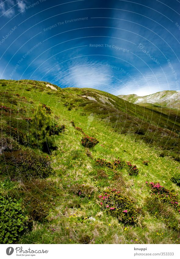 2000 m.ü.M. Umwelt Natur Landschaft Pflanze Urelemente Erde Luft Himmel Wolkenloser Himmel Frühling Sommer Klima Klimawandel Wetter Schönes Wetter Wind Nebel