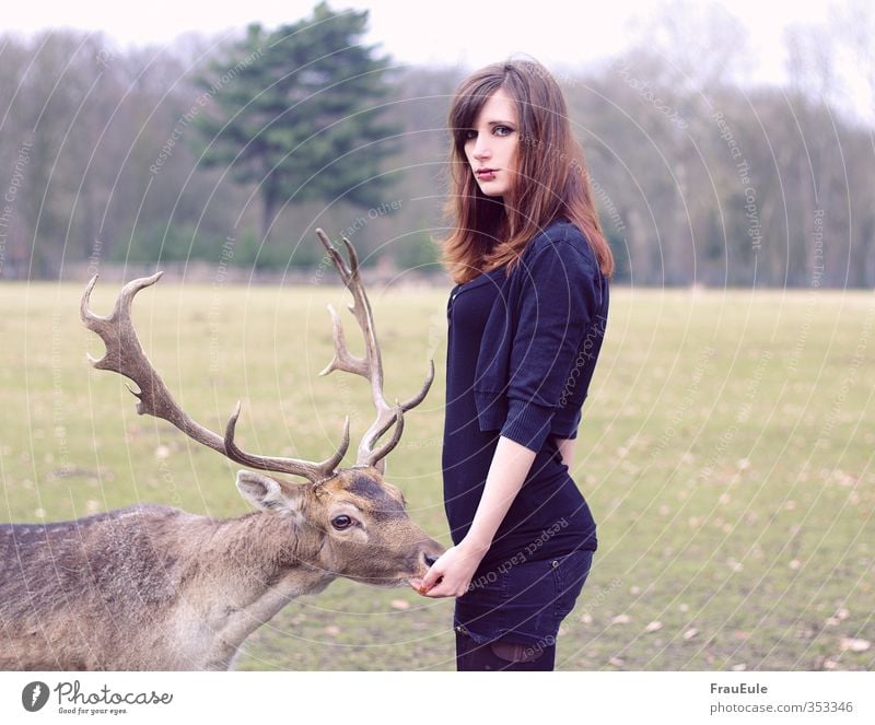 mr hirsch feminin Junge Frau Jugendliche 1 Mensch 18-30 Jahre Erwachsene Natur Landschaft Park Feld Wald Tier Wildtier füttern Farbfoto Außenaufnahme Oberkörper