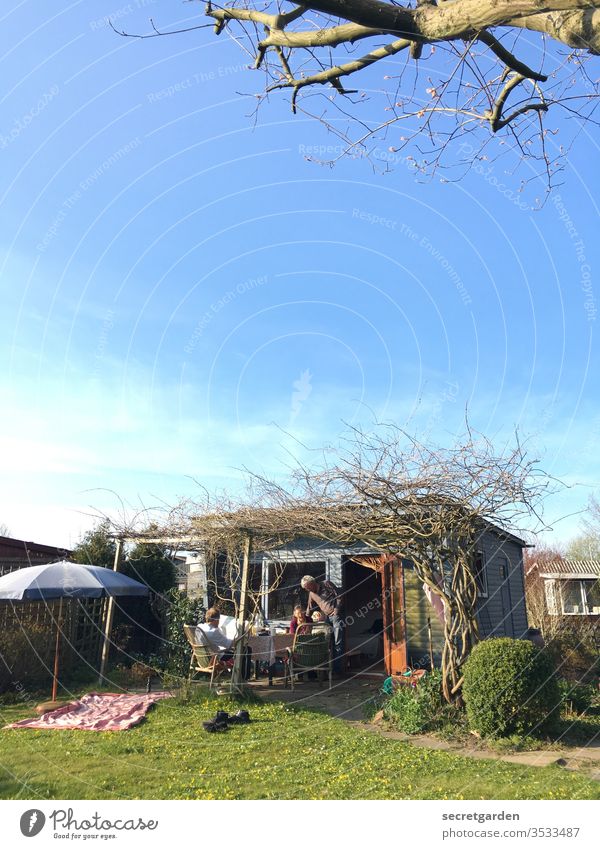 Und fertig ist die Laube! Schrebergarten laube Garten Sommer Deutschland spießig Sonnenschirm Natur Außenaufnahme Kleingartenkolonie Pflanze Freunde entspannend