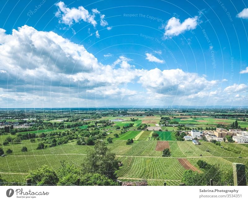 Ausblick in die Rheinebene bei schönen Wetter und wenig Wolken Schriesheim Außenaufnahme Farbfoto Landschaft Menschenleer Ferien & Urlaub & Reisen Himmel